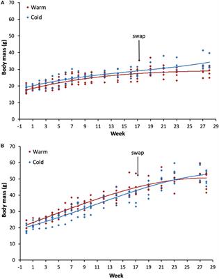 Growing Up in a Changing Climate: How Temperature Affects the Development of Morphological, Behavioral and Physiological Traits of a Marsupial Mammal